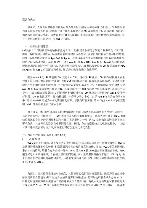 脂代谢
