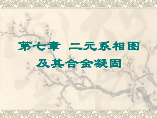 二元系相图ppt课件