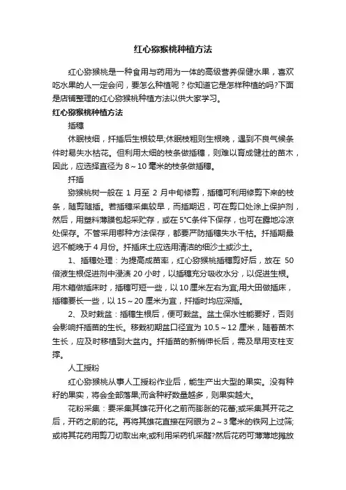 红心猕猴桃种植方法