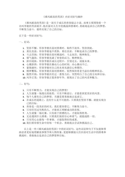 《乘风破浪的男孩》内好词好句