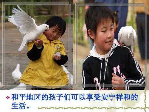 不能忘却的记忆课件2