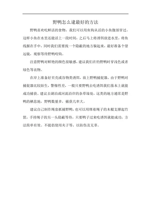 野鸭怎么逮最好的方法