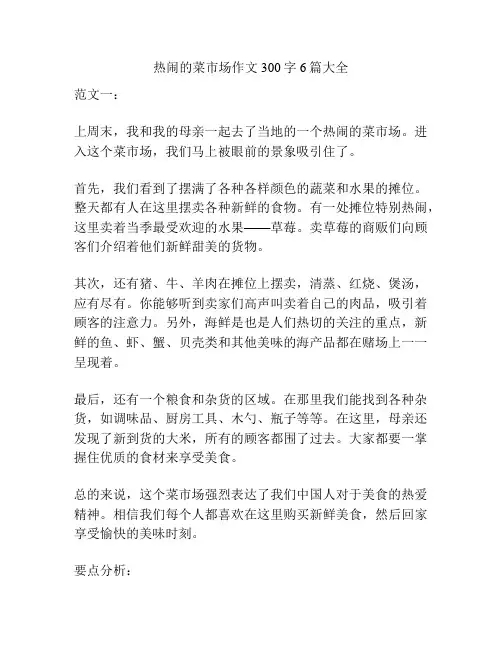 热闹的菜市场作文300字6篇大全