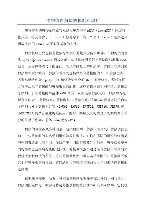 生物体内剪接的机制和调控