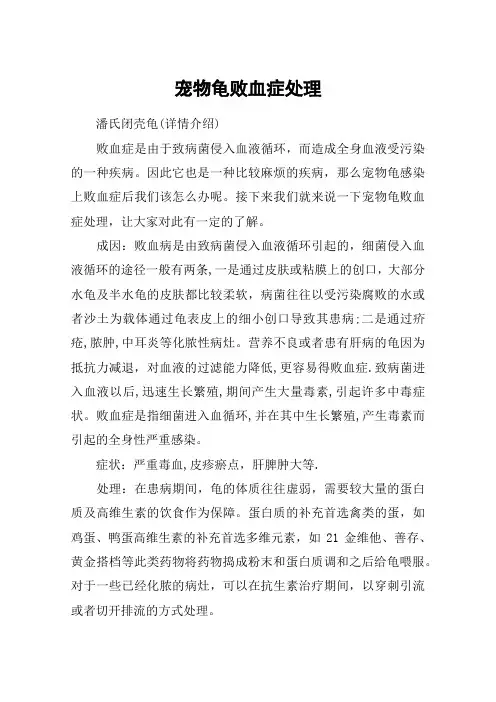 宠物龟败血症处理