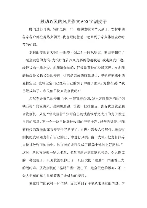 触动心灵的风景作文600字割麦子
