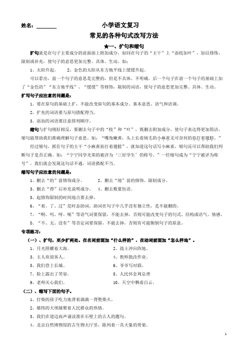 小学语文复习各种句子改写方法指导(精编word版)