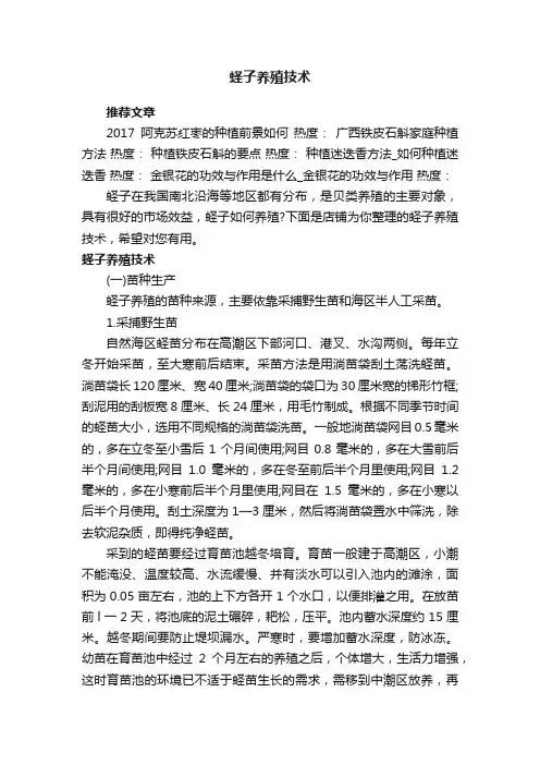 蛏子养殖技术