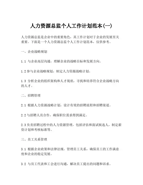 人力资源总监个人工作计划范本(一)