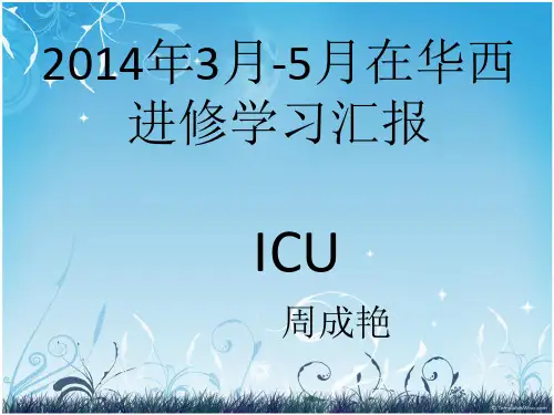 医院进修汇报.ppt