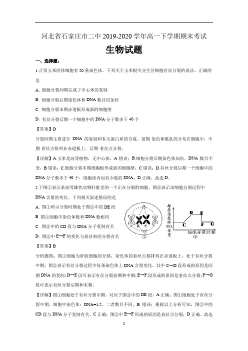 河北省石家庄市二中2019-2020学年高一下学期期末考试生物试题  含解析