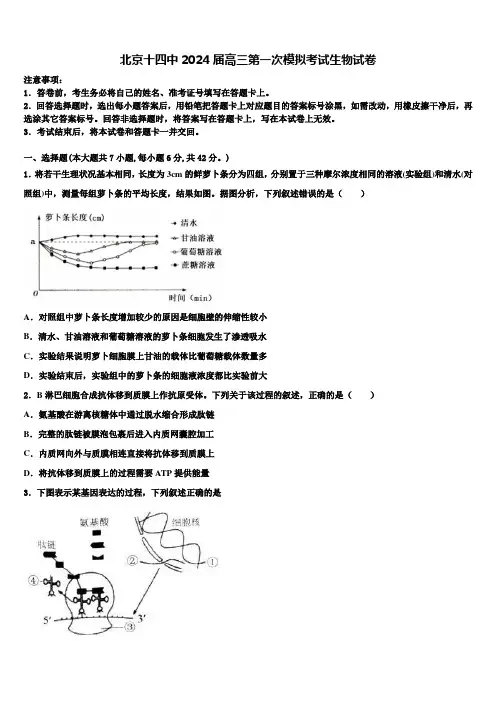 北京十四中2024届高三第一次模拟考试生物试卷含解析