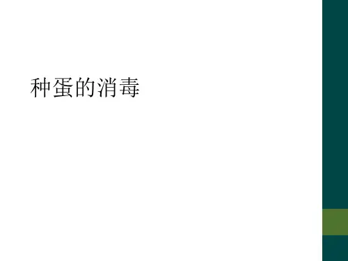 种蛋的消毒