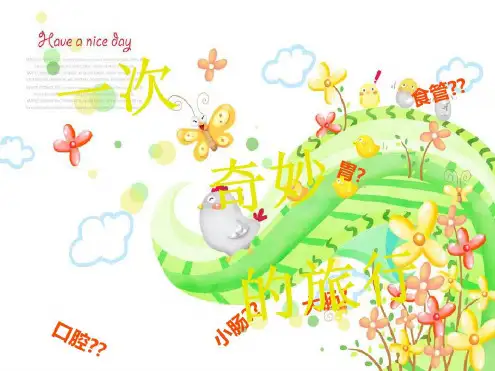 大象版四年级科学上册一次奇妙的旅行课件2