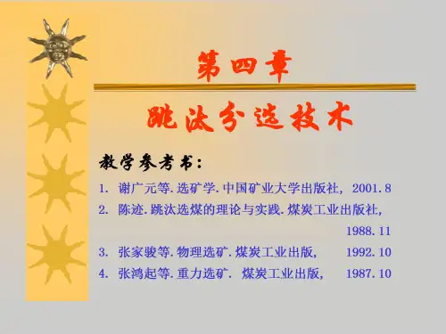 跳汰选煤