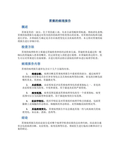 胃窦的病理报告