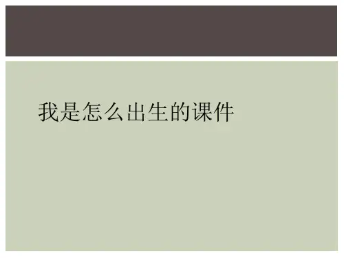 我是怎么出生的课件