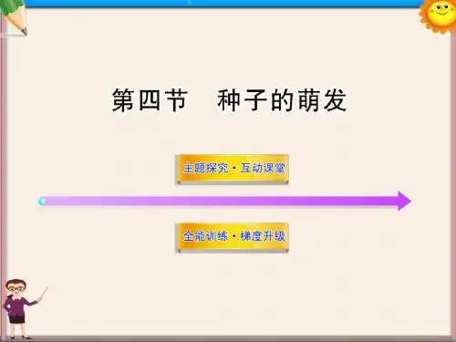 八年级生物上册 第四单元 第一章 第四节 种子的萌发课件 济南版