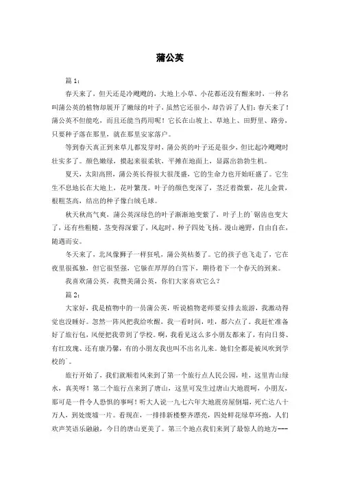 蒲公英三年级作文400字