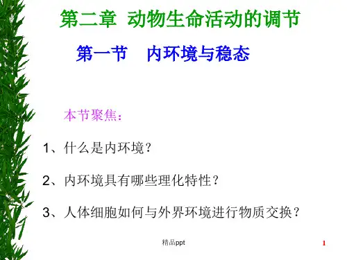 内环境与稳态 整合版ppt课件