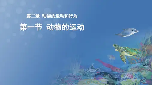 动物的运动ppt课件