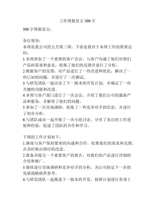 工作周报范文300字