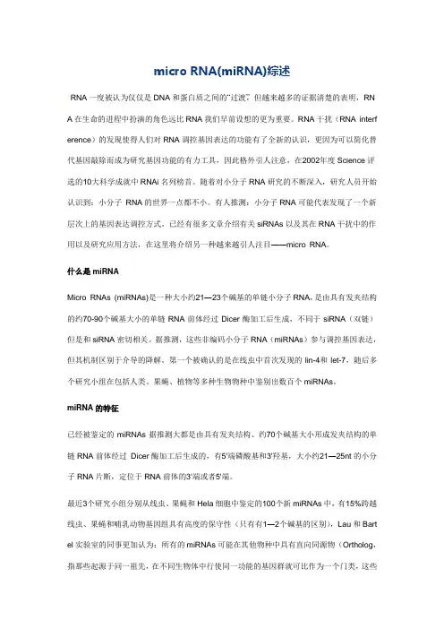 miRNA综述
