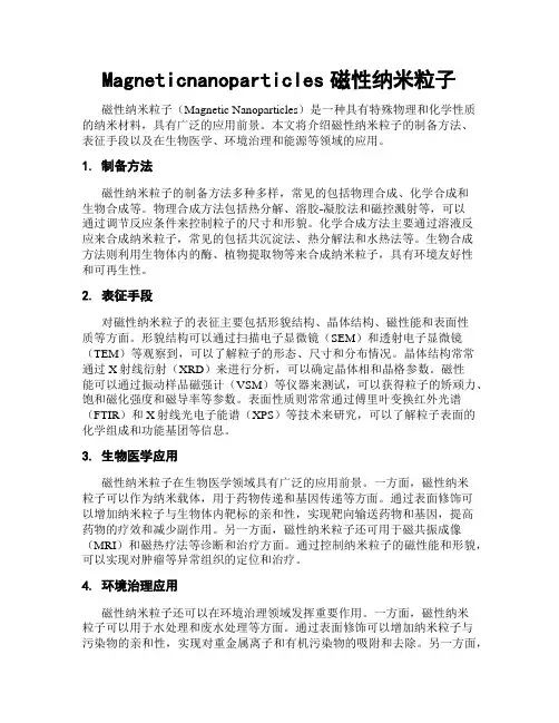 Magneticnanoparticles磁性纳米粒子