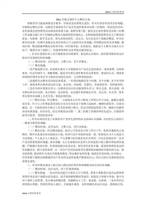 20xx年地方领导个人整改方案