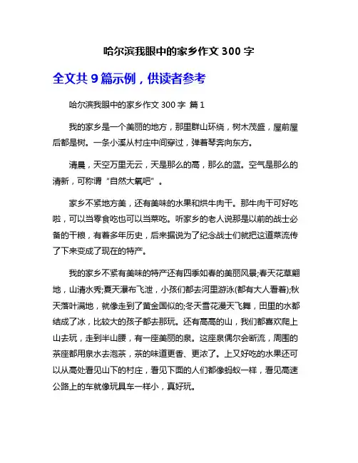 哈尔滨我眼中的家乡作文300字