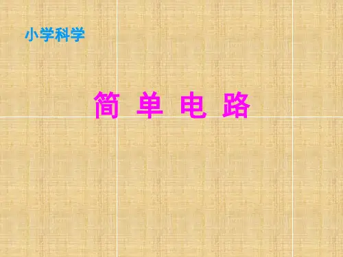 苏教版科学五年级上册课件：3.1简单的电路 课件