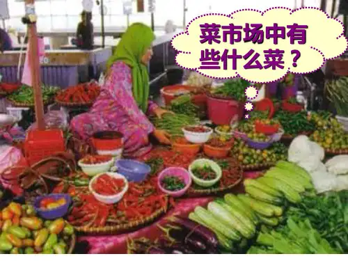 3  菜园里PPT课件