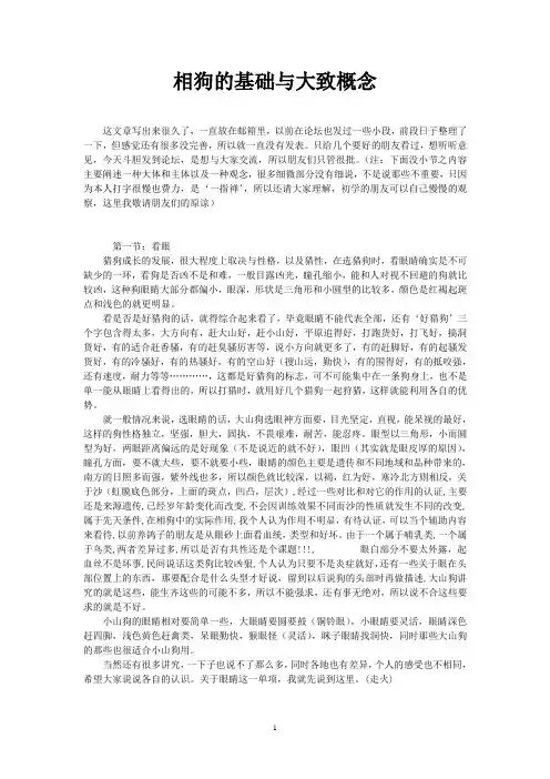 相狗的基础与大致概念