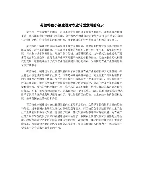 荷兰特色小镇建设对农业转型发展的启示