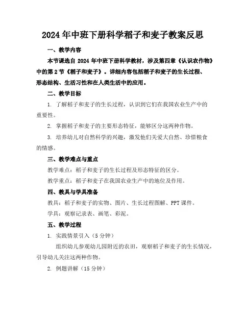 2024年中班下册科学稻子和麦子教案反思