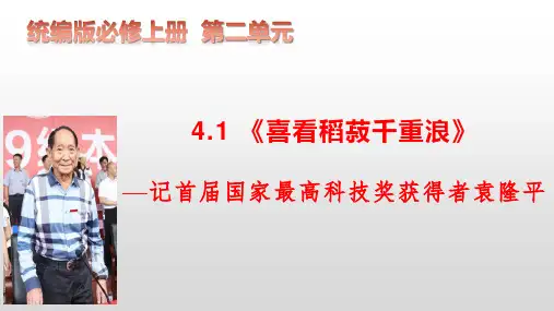 《喜看稻菽千重浪》高一语文课件(统编版必修上册)