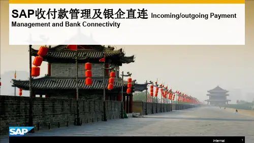 SAP收付款管理及银企直连(16页)