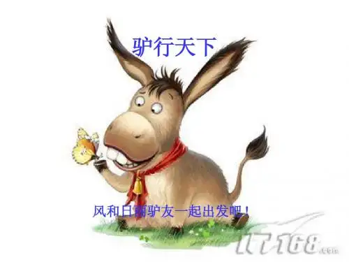 驴行天下