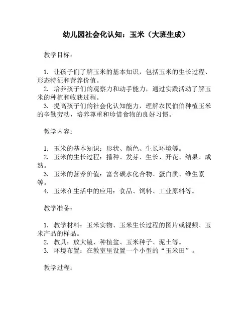 幼儿园社会化认知：玉米(大班生成)