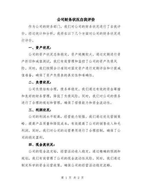 公司财务状况自我评价