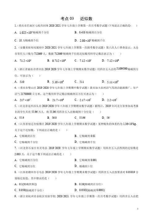 考点03 近似数(原卷版)