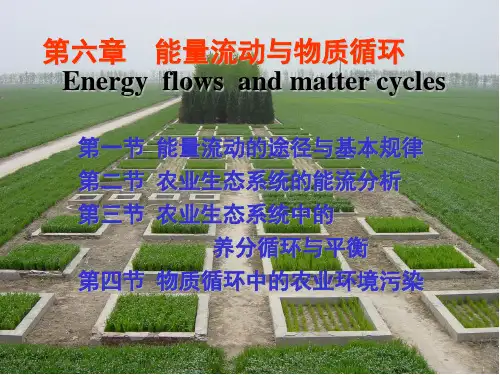 农业生态学-第6+7章(4节)-能量流动与物质循环