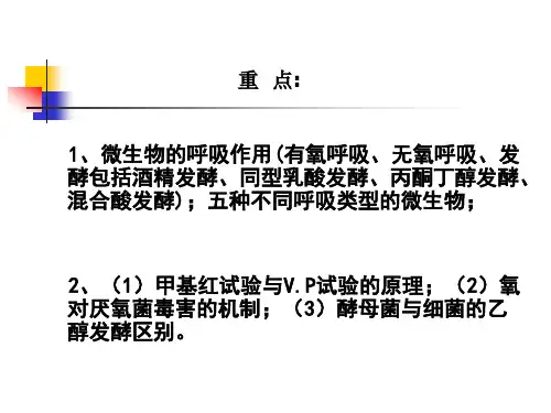 第三章微生物的代谢1