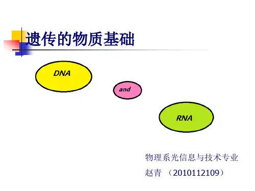 遗传的物质基础