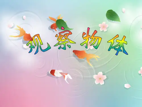 五年级下册数学第一单元-观察物体(三)