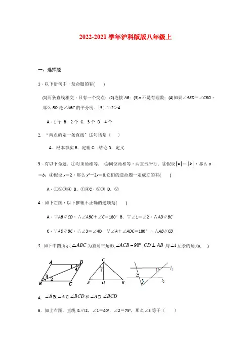 沪科版八年级数学上册命题与证明经典题型特训