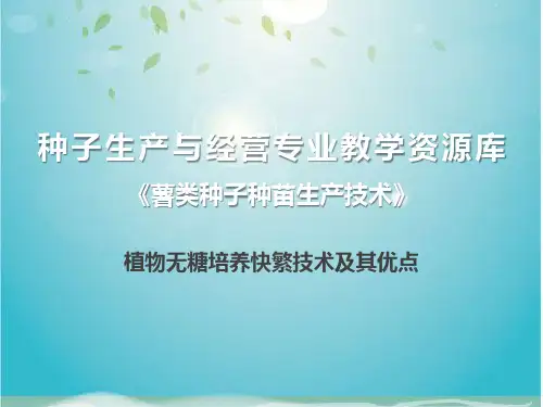 植物无糖培养快繁技术及其优点