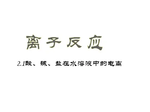 人教版化学必修一2.2离子反应(共21张ppt)(共21张PPT)