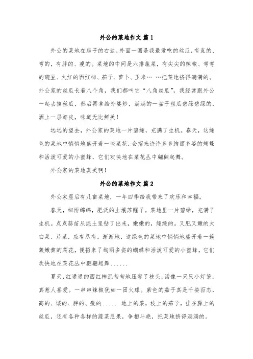 外祖父的菜园子作文