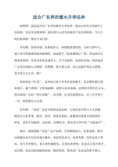 适合广东养的灌木月季品种